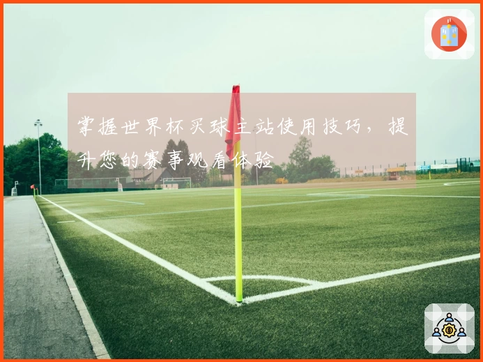 掌握世界杯买球主站使用技巧，提升您的赛事观看体验
