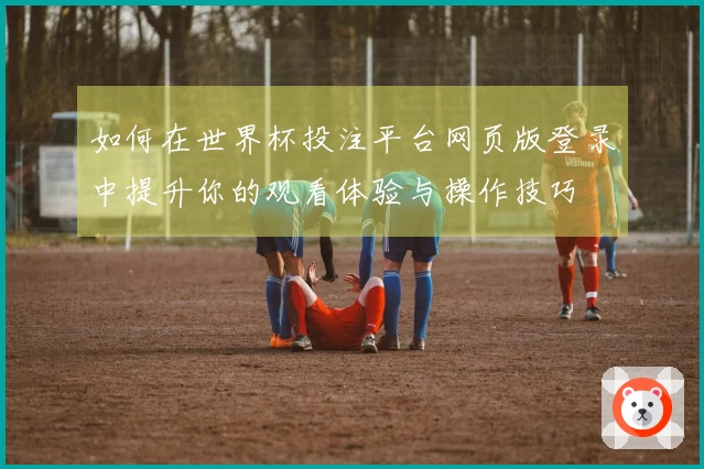 如何在世界杯投注平台网页版登录中提升你的观看体验与操作技巧