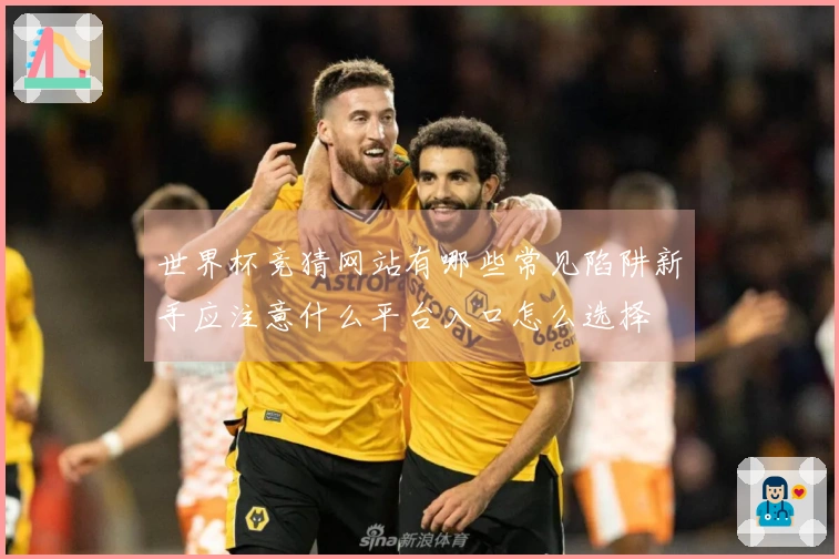 世界杯竞猜网站有哪些常见陷阱新手应注意什么平台入口怎么选择