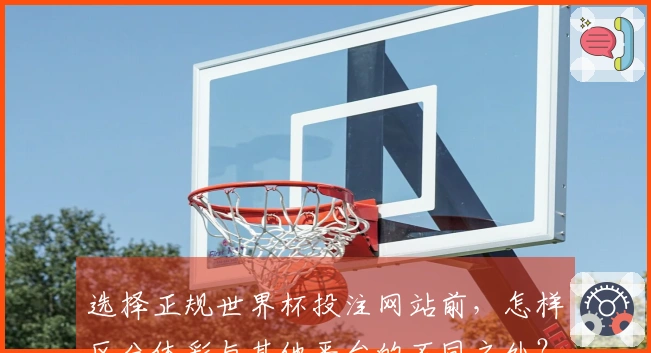 选择正规世界杯投注网站前，怎样区分体彩与其他平台的不同之处？