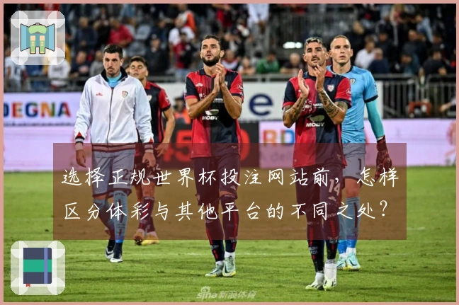 选择正规世界杯投注网站前，怎样区分体彩与其他平台的不同之处？