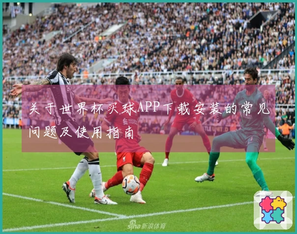 关于世界杯买球APP下载安装的常见问题及使用指南