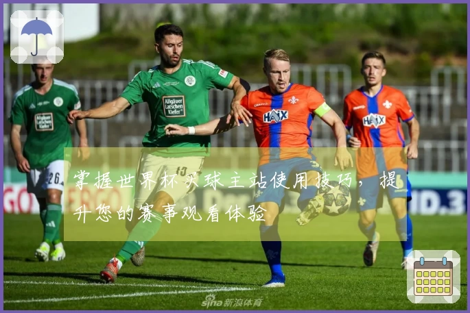 掌握世界杯买球主站使用技巧，提升您的赛事观看体验