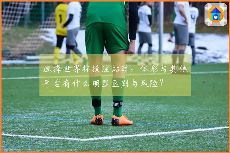 选择世界杯投注站时，体彩与其他平台有什么明显区别与风险？