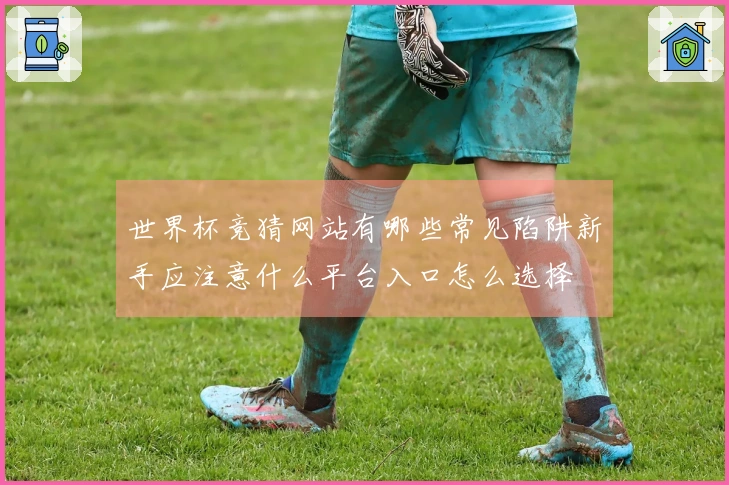 世界杯竞猜网站有哪些常见陷阱新手应注意什么平台入口怎么选择