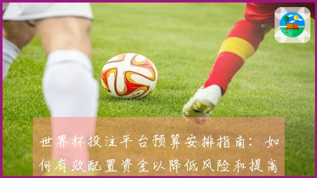 世界杯投注平台预算安排指南：如何有效配置资金以降低风险和提高收益