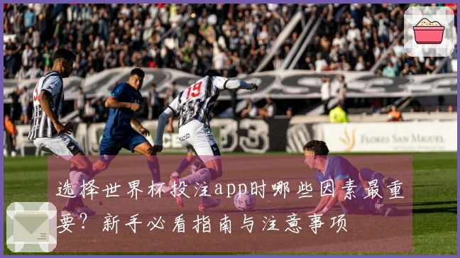 选择世界杯投注app时哪些因素最重要？新手必看指南与注意事项
