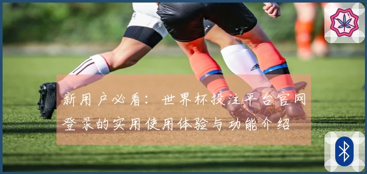 新用户必看：世界杯投注平台官网登录的实用使用体验与功能介绍