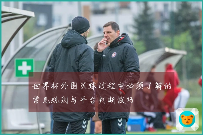 世界杯外围买球过程中必须了解的常见规则与平台判断技巧