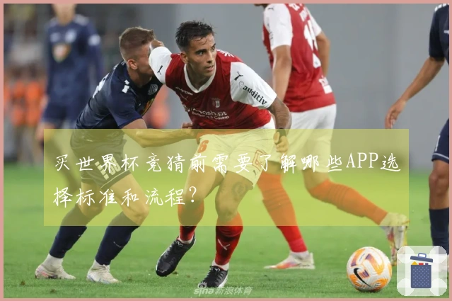 买世界杯竞猜前需要了解哪些APP选择标准和流程？