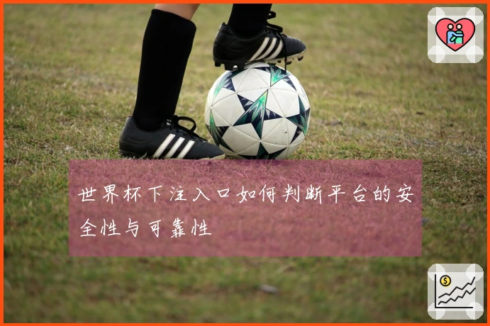 世界杯下注入口如何判断平台的安全性与可靠性
