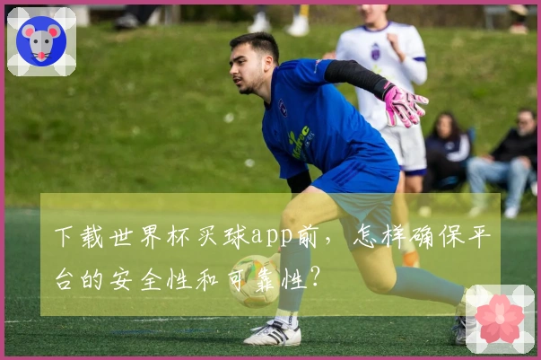 下载世界杯买球app前，怎样确保平台的安全性和可靠性？