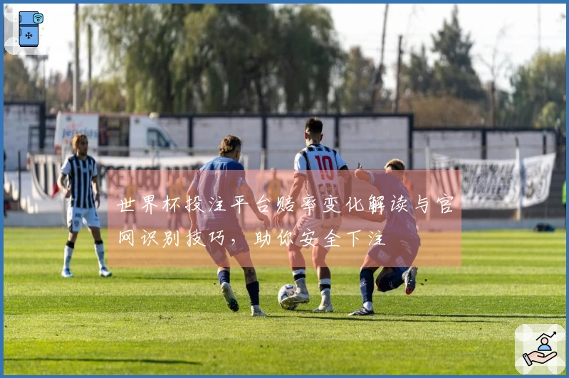 世界杯投注平台赔率变化解读与官网识别技巧，助你安全下注