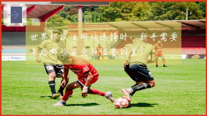 世界杯投注网站选择时，新手需要考虑哪些安全和信誉因素？