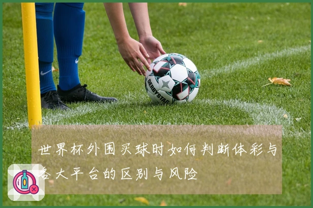 世界杯外围买球时如何判断体彩与各大平台的区别与风险