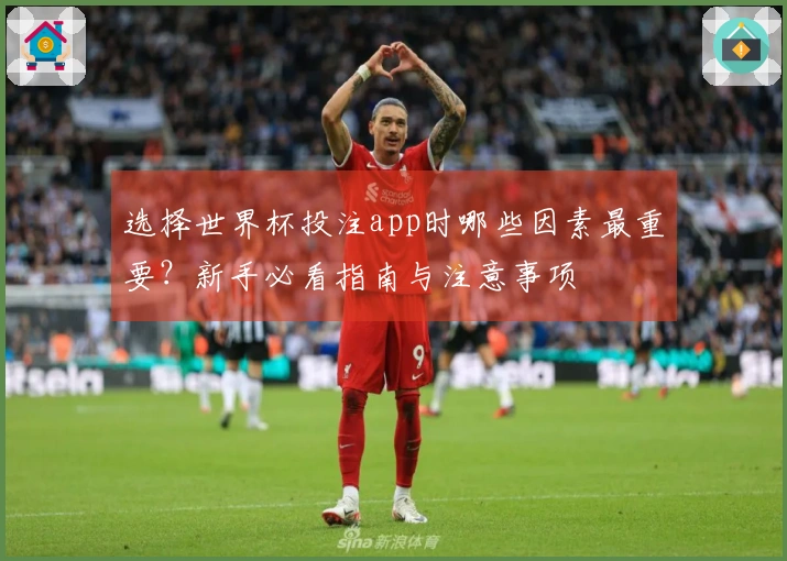 选择世界杯投注app时哪些因素最重要？新手必看指南与注意事项